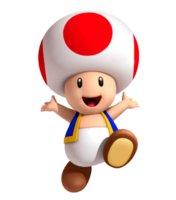 Toad